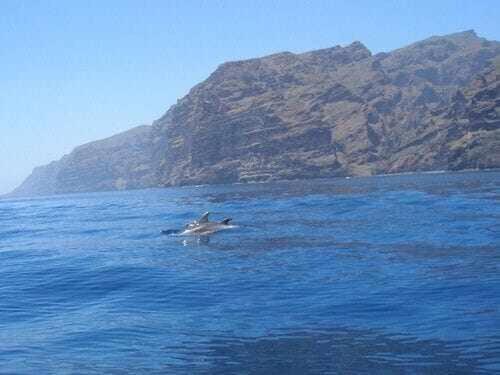 El Paraiso En Los Gigantes Santiago del Teide 外观 照片