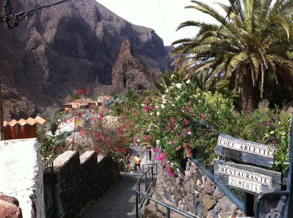 El Paraiso En Los Gigantes Santiago del Teide 外观 照片