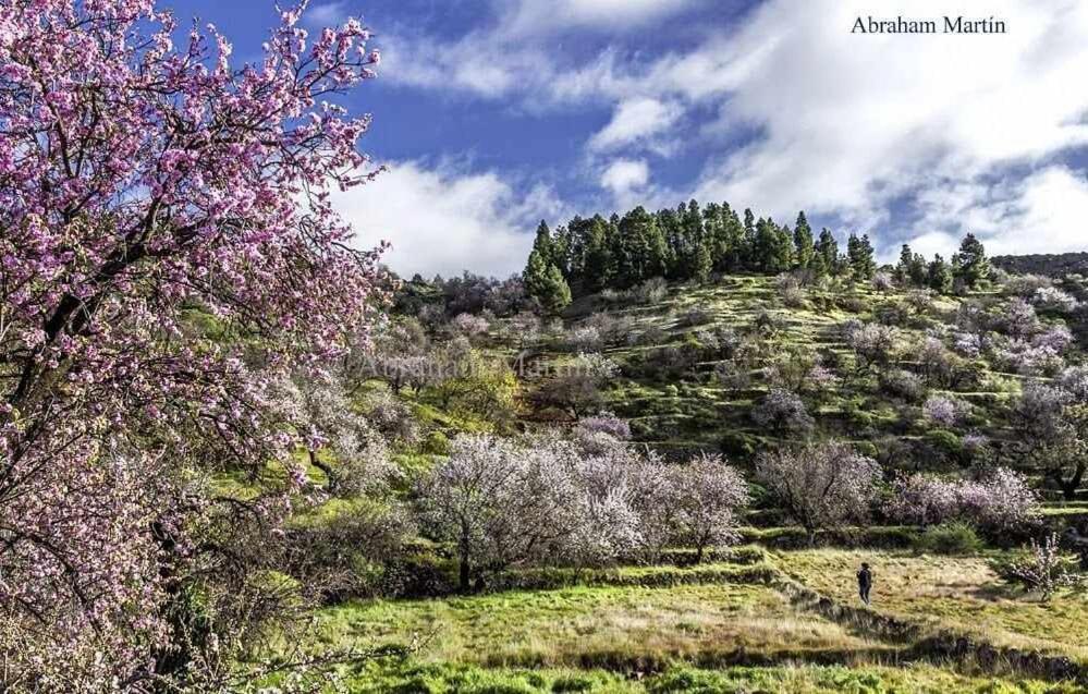 El Paraiso En Los Gigantes Santiago del Teide 外观 照片