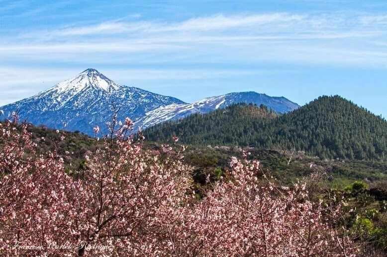 El Paraiso En Los Gigantes Santiago del Teide 外观 照片